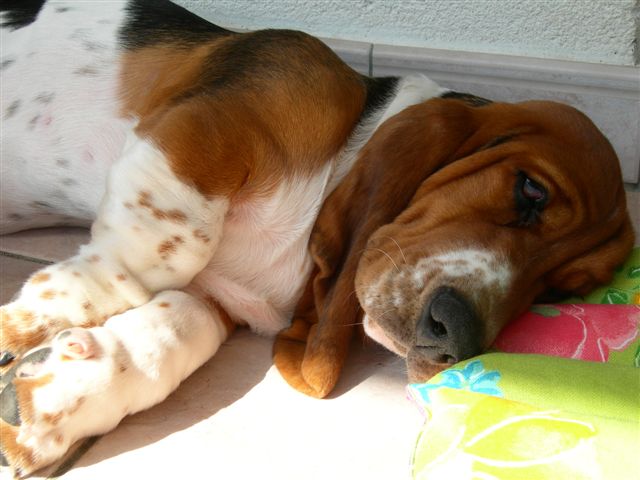 Louna