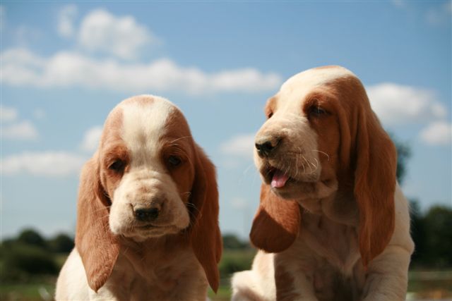 Chiva et Catalunya