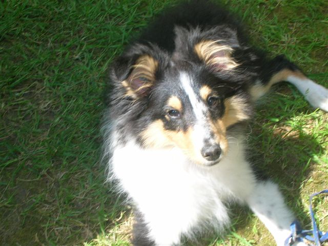 Malou